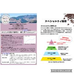 営業チラシ・スペシャルティ珈琲紹介のチラシ