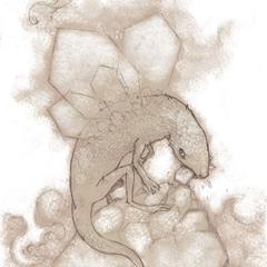 鉱石生物