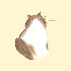 ねむねむノルウェージャン