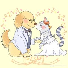 猫ちゃん×ワンちゃん