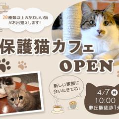 保護猫カフェ 告知バナー