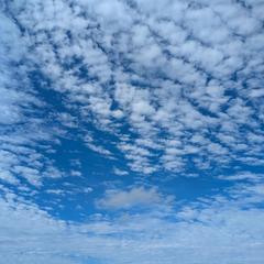 お客様を全力でサポート致します。