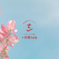 ロゴデザイン制作