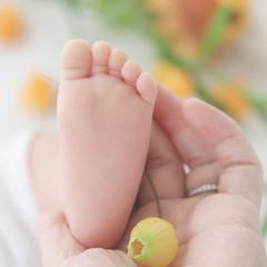 赤ちゃんのいるくらし。