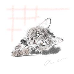 スケッチ風線画