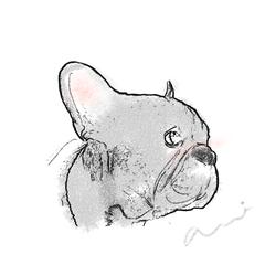 スケッチ風線画