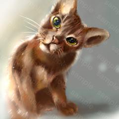 アビシニアン猫　イラスト
