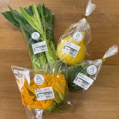 ロゴ制作のご依頼