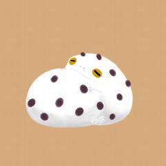 豆大福なフクラガエル