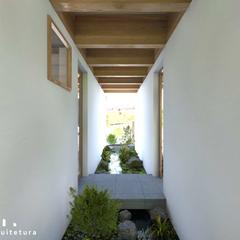住宅の企画設計 ー CASA CÉLULAS / 細胞の家
