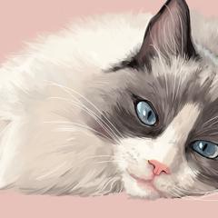 猫のイラスト