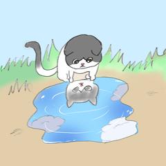 飼い猫のイメージ作成