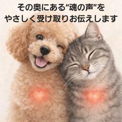 ハイヤーセルフコネクトリーディング