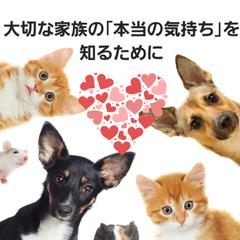 ペットちゃんの気持ちを聞いてみよう