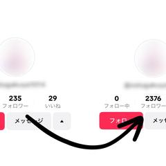 TikTokのフォロワー増加実績
