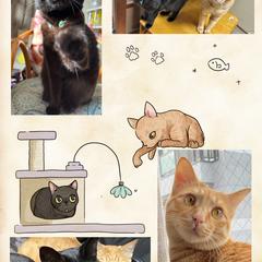 うちの子ステッカー