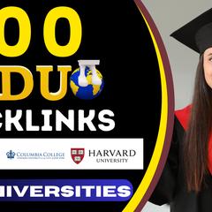 Give 100 EDU Backlinks