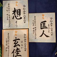 命名書
