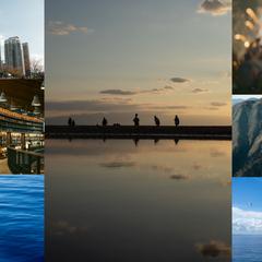 写真
