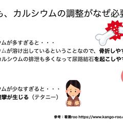 カルシウム代謝