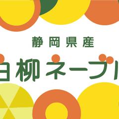 白柳ネーブル　ラベルシール