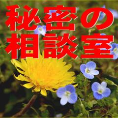 秘密の相談室始めました。