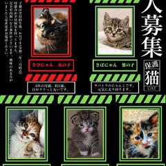 エヴァンゲリヲン風里親募集ポスター