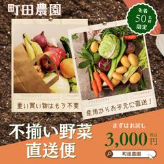 農園の野菜直送バナー制作