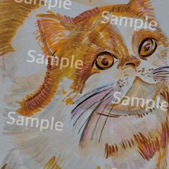 猫のイラストカード