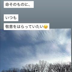 今日の一言