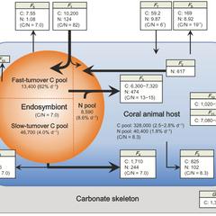 微生物代謝の解明