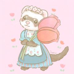 異国チックなフェレット