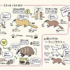 狩猟鳥獣の説明