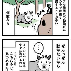 カモシカ