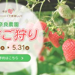 いちご狩りバナー