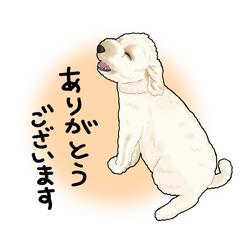 愛犬のスタンプ　リアルタッチ