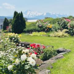 自然豊かな地からメッセージをお届けします