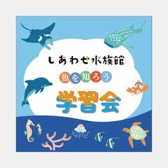 水族館　バナー