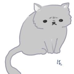 エキゾチックにゃんこ
