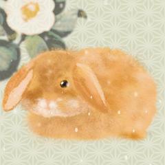 雪うさぎ