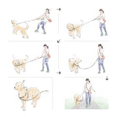 ドッグハーネスの使用方法 説明のカットイラスト