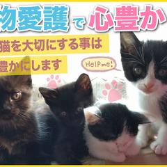 クラウドファンディング用の画像になります。