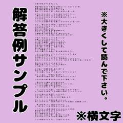 解答サンプル