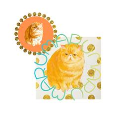 MARUMARUMARU