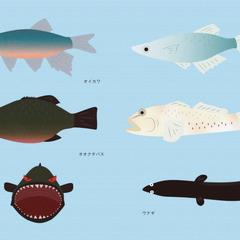 　イラストレーター