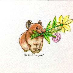 Present for you !