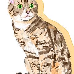 ネコさん
