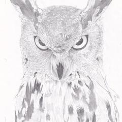 ミミズク