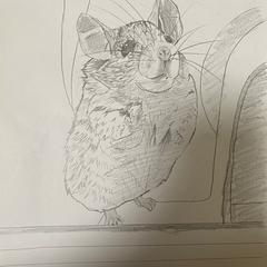 にっこりカイロトゲマウス