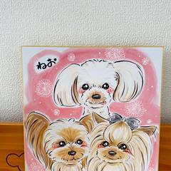 先代犬ちゃんと今の子✨